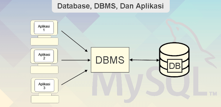 Memahami database DBMS dan aplikasi MySQL