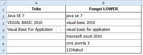 Menggunakan fungsi lower di Excel