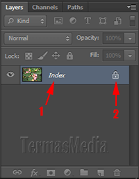 Solusi gambar tidak bisa diedit (mode index layer) di Adobe Photoshop
