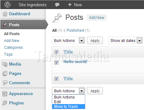 Menghapus postingan (post) secara permanen di Wordpress